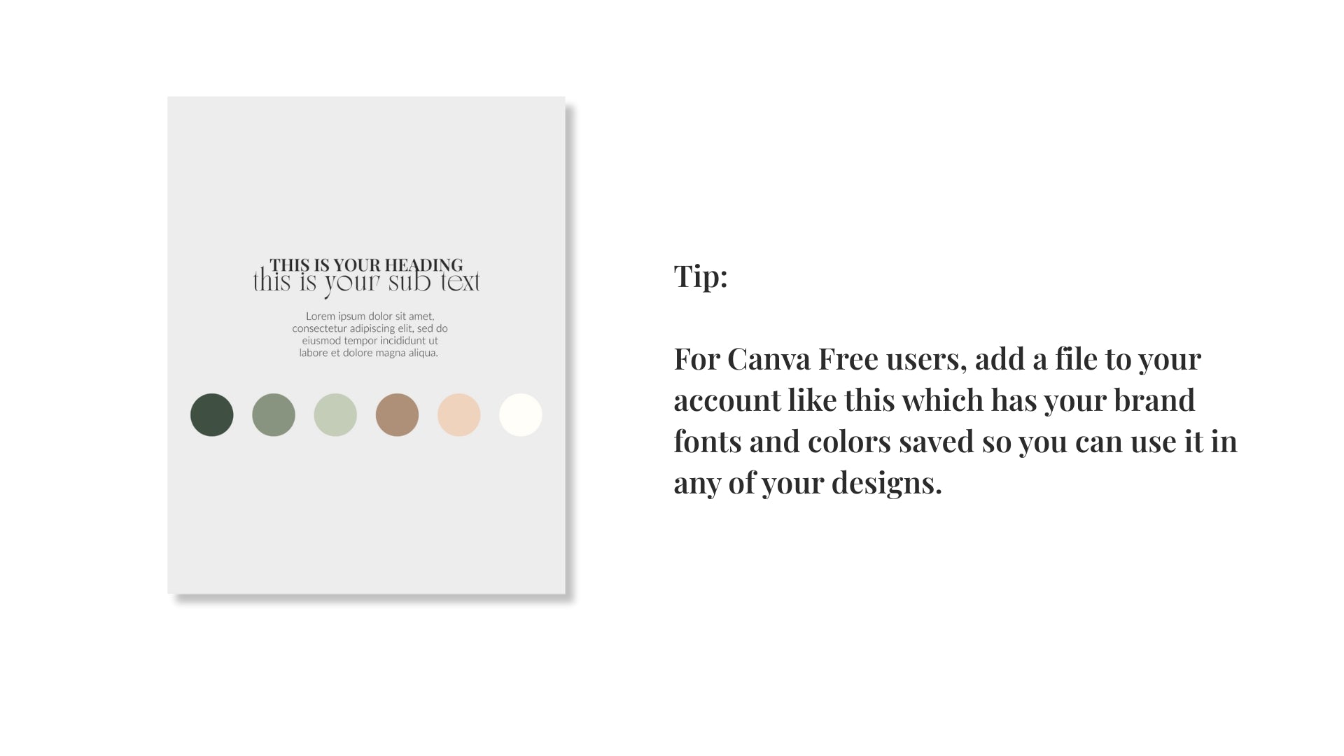Update Any Canva Template with Your Branding The Brand Alchemists