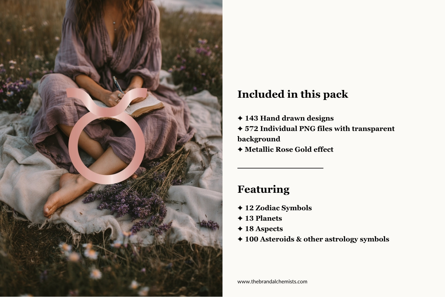 Astrology Design Elements - Metallic Rose Gold