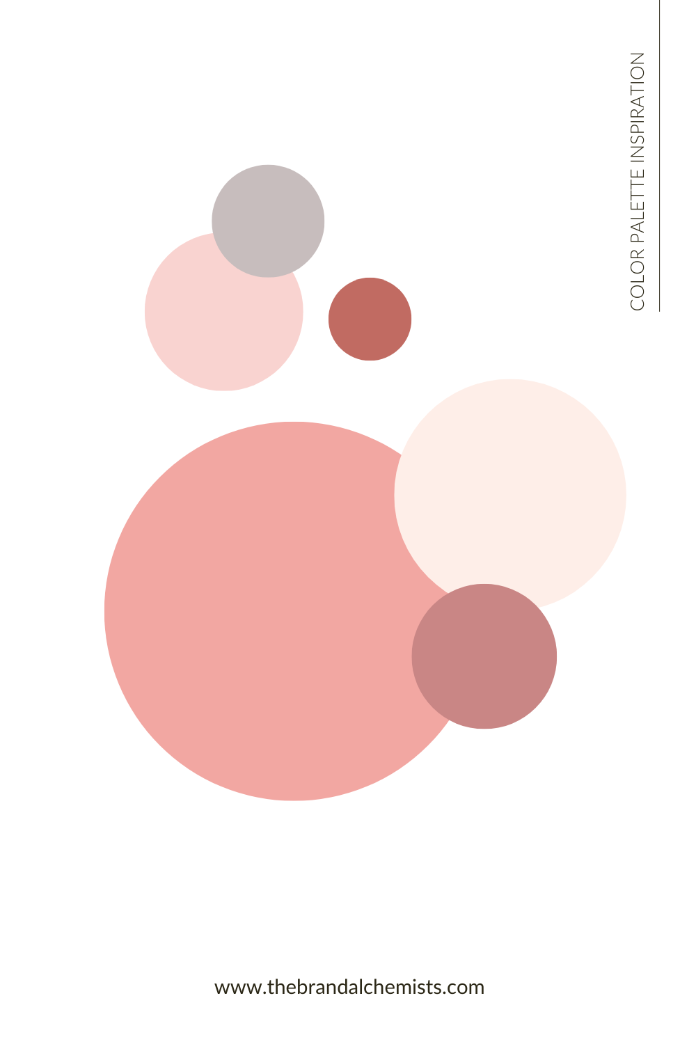 Circular swatches of the Beautiful Blush palette displayed on a white background, highlighting dusty pink, soft grey, and warm rose tones.