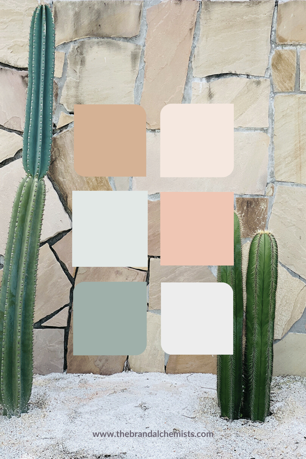 Modern Boho color palette overlaid on a neutral stone wall with tall green cacti, showcasing soft earthy tones ideal for relaxed and nature-inspired branding.