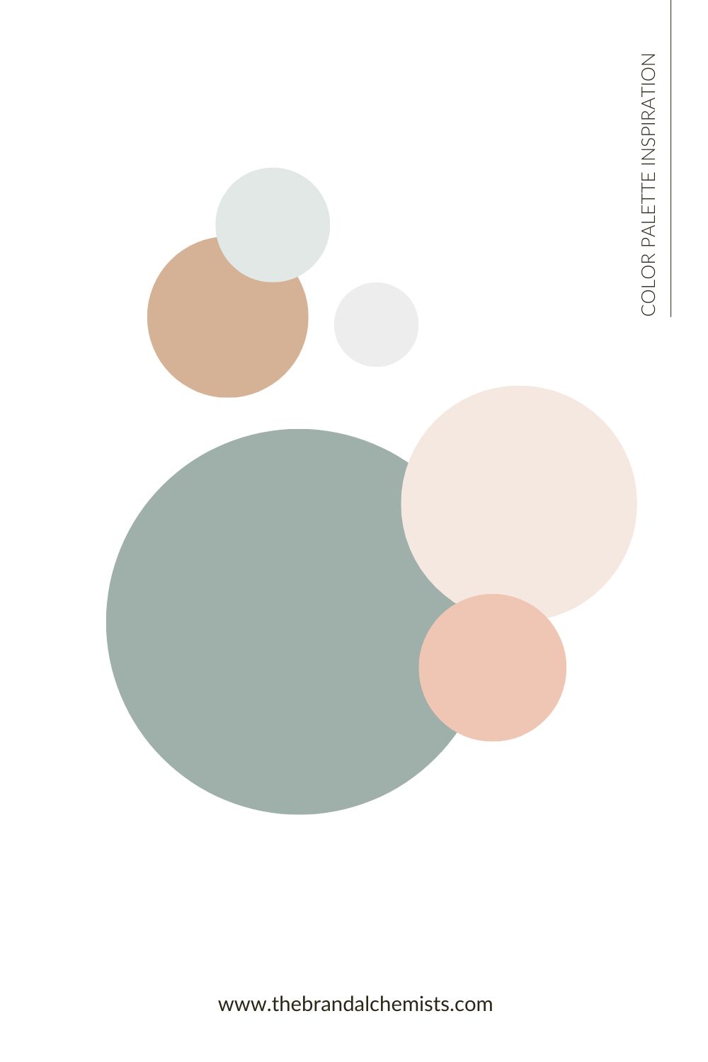 Modern Boho color palette displayed in circular shapes on a clean white background, highlighting a mix of warm neutrals and soft greens in a modern minimalist layout.