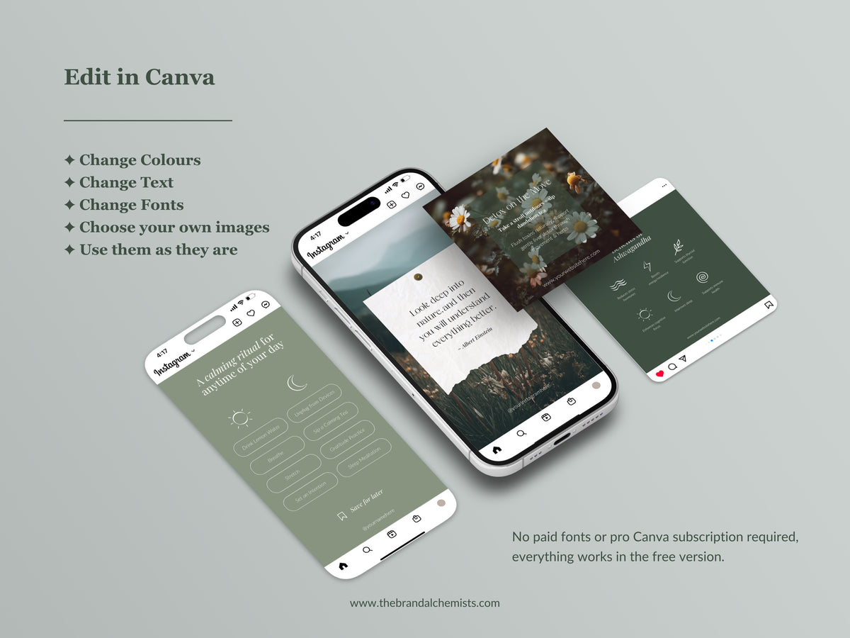 Mother earth Naturopath Instagram Templates