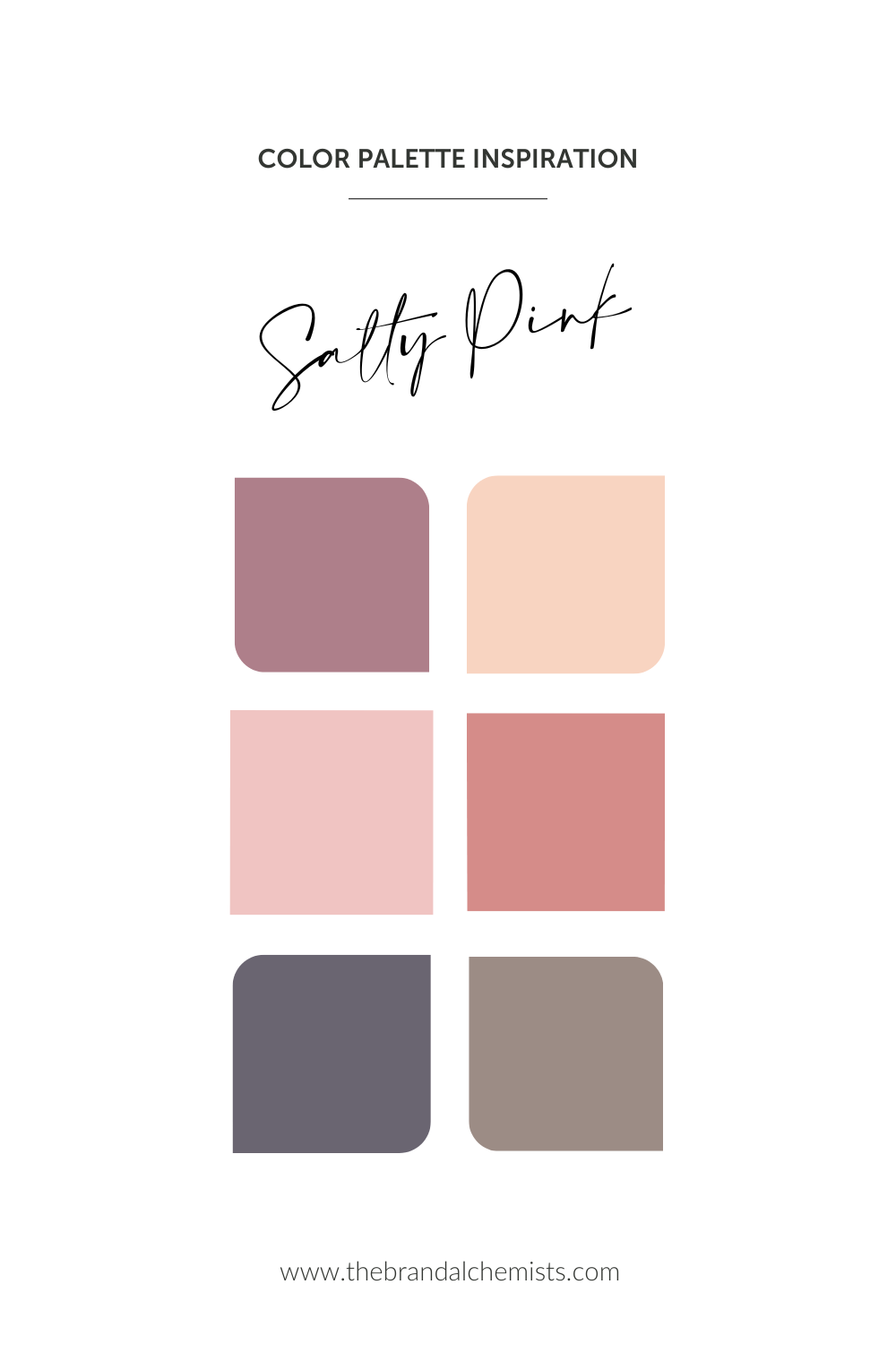 Salty Pink color palette featuring mauve, peach, soft rose, terracotta, muted lilac, and earthy taupe for grounded feminine branding.