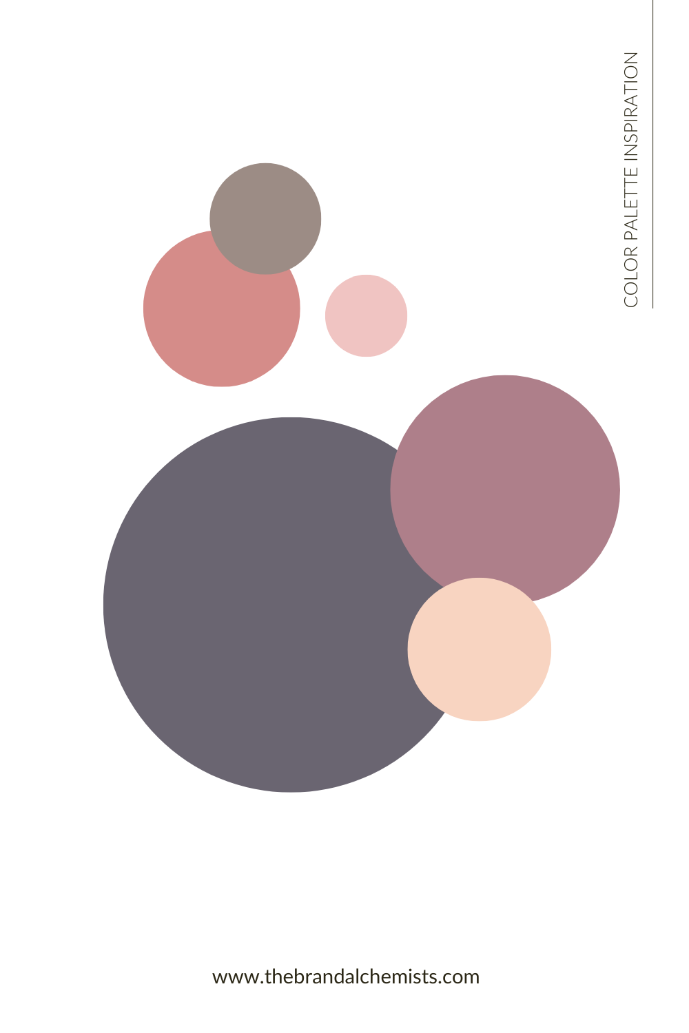 Minimalist abstract color inspiration using circular swatches of terracotta, blush, plum, and taupe from the Salty Pink palette.