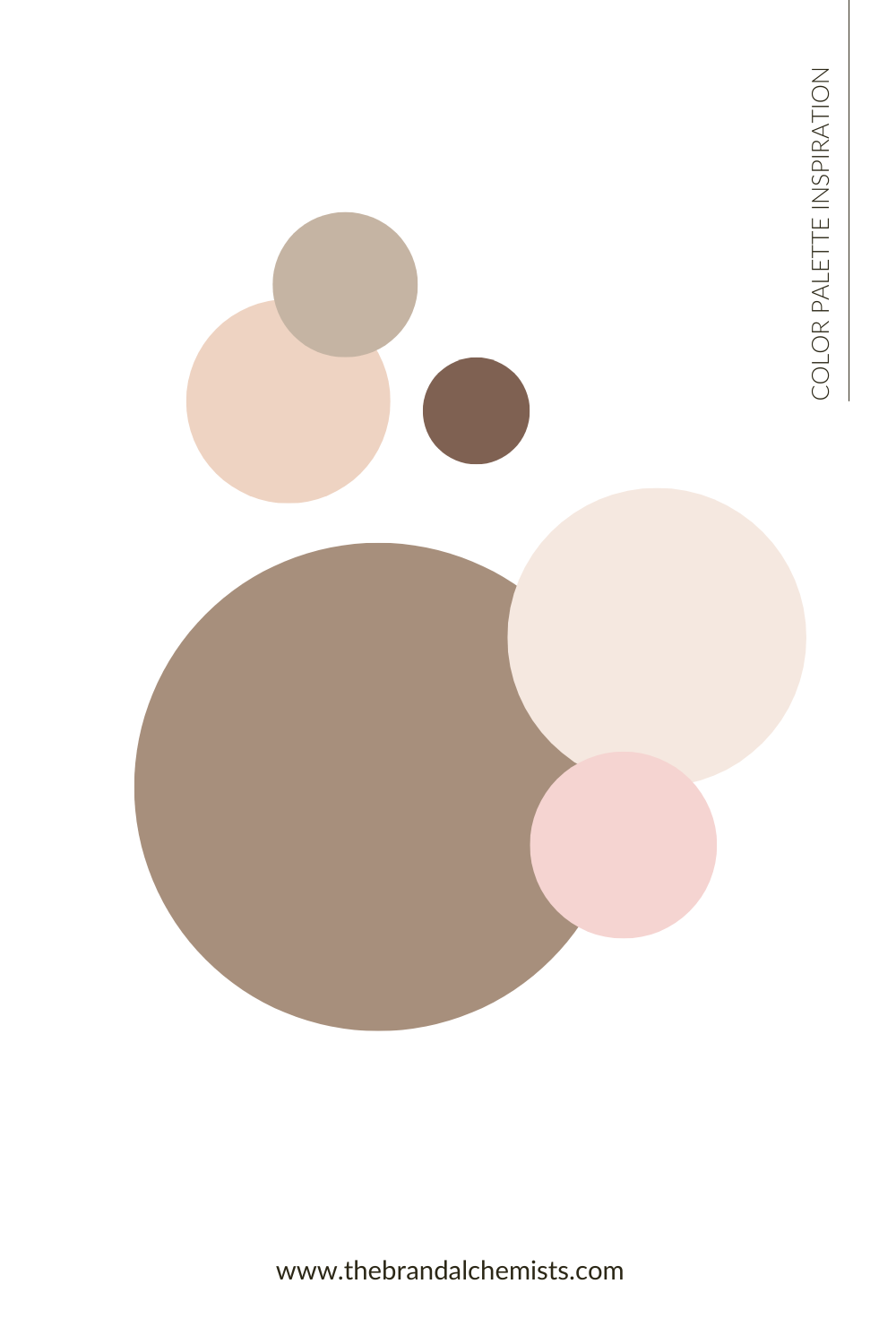 Abstract circle graphic of the Sandy Neutrals palette on white background, highlighting natural tones of brown, nude peach, soft taupe, pale cream, and gentle blush for organic, balanced brand visuals.
