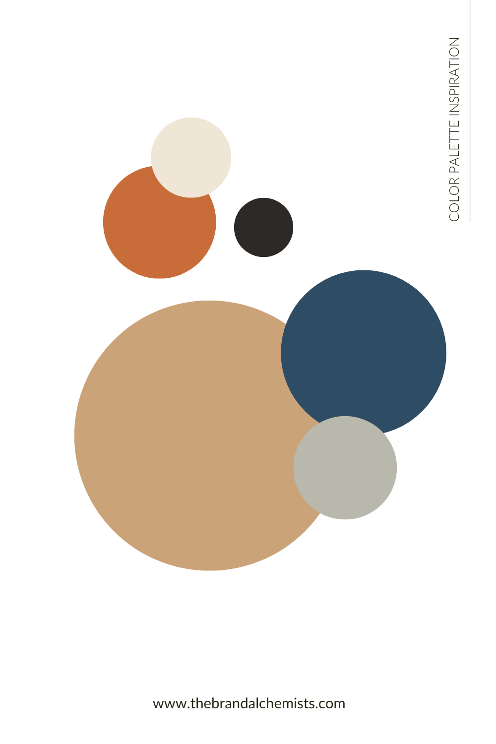 Abstract layout of Sandy Shores color palette in circular shapes, combining terracotta, sandstone, beach grass green, navy blue, and soft cream for a warm, organic design mood.