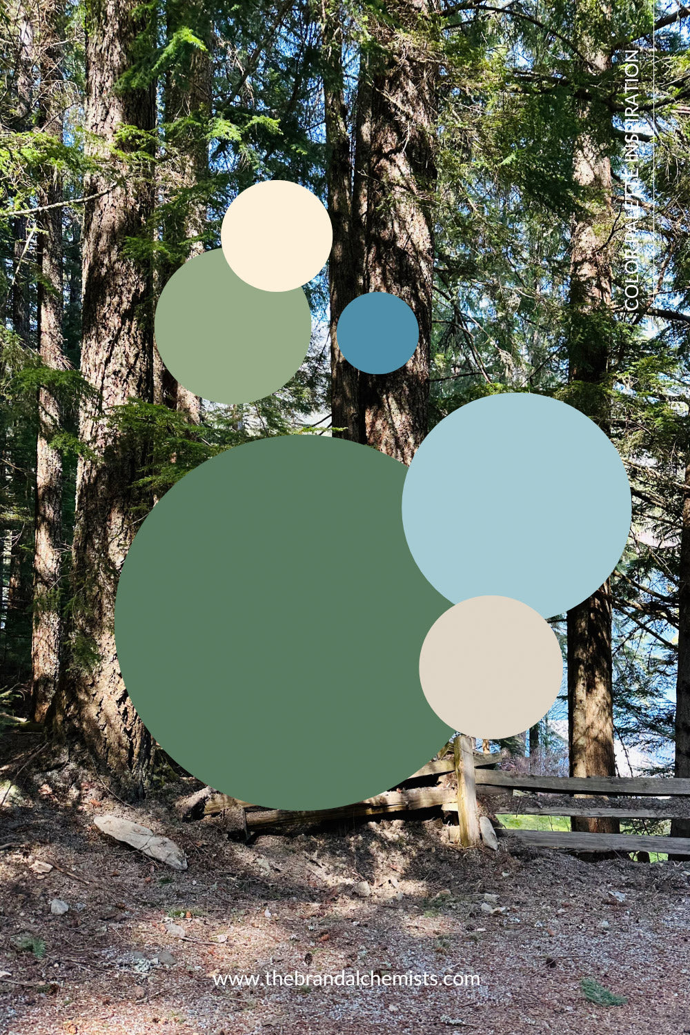 Serene Nature palette featured over a tranquil forest scene, blending natural tones of green and blue with soft light and shadows.
