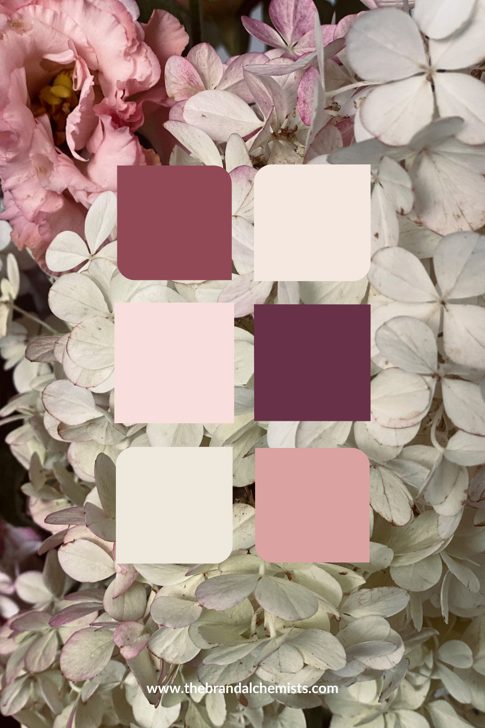 Color swatches from the Soft Crimson palette placed over soft pink and white flowers, highlighting a romantic, feminine mood.